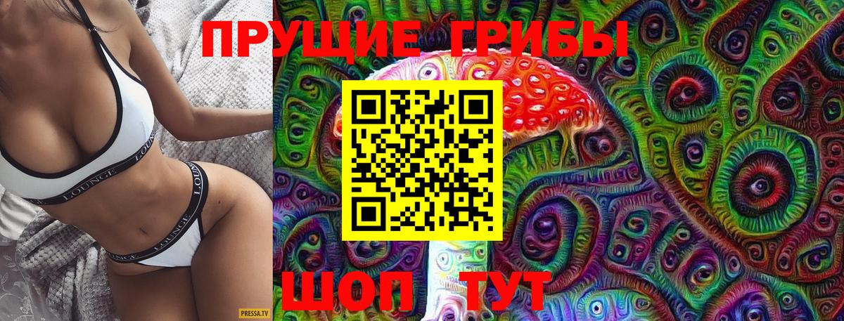 Псилоцибиновые грибы мухоморы  Галлюциногенные грибы Cubensis  Самара  Вход с VPN 